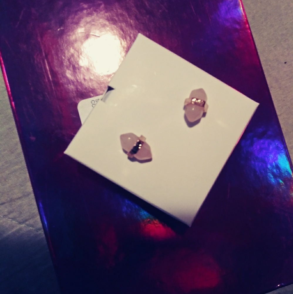 NWT Pink Crystal Earrings